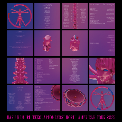 HARU NEMURI “ekkolaptómenos” 北米 Tour Limited T-Shirt