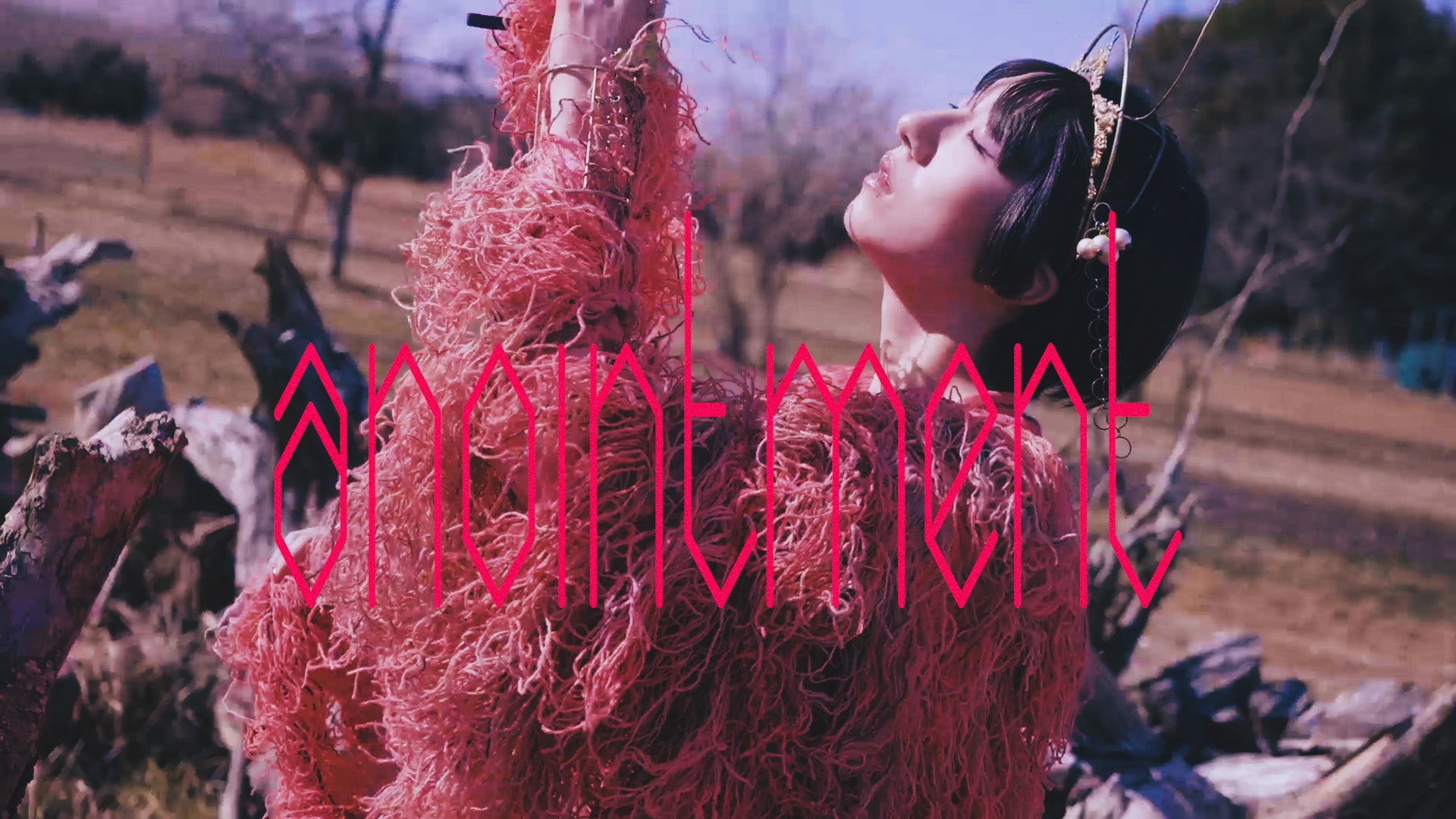 動画を読み込む: 